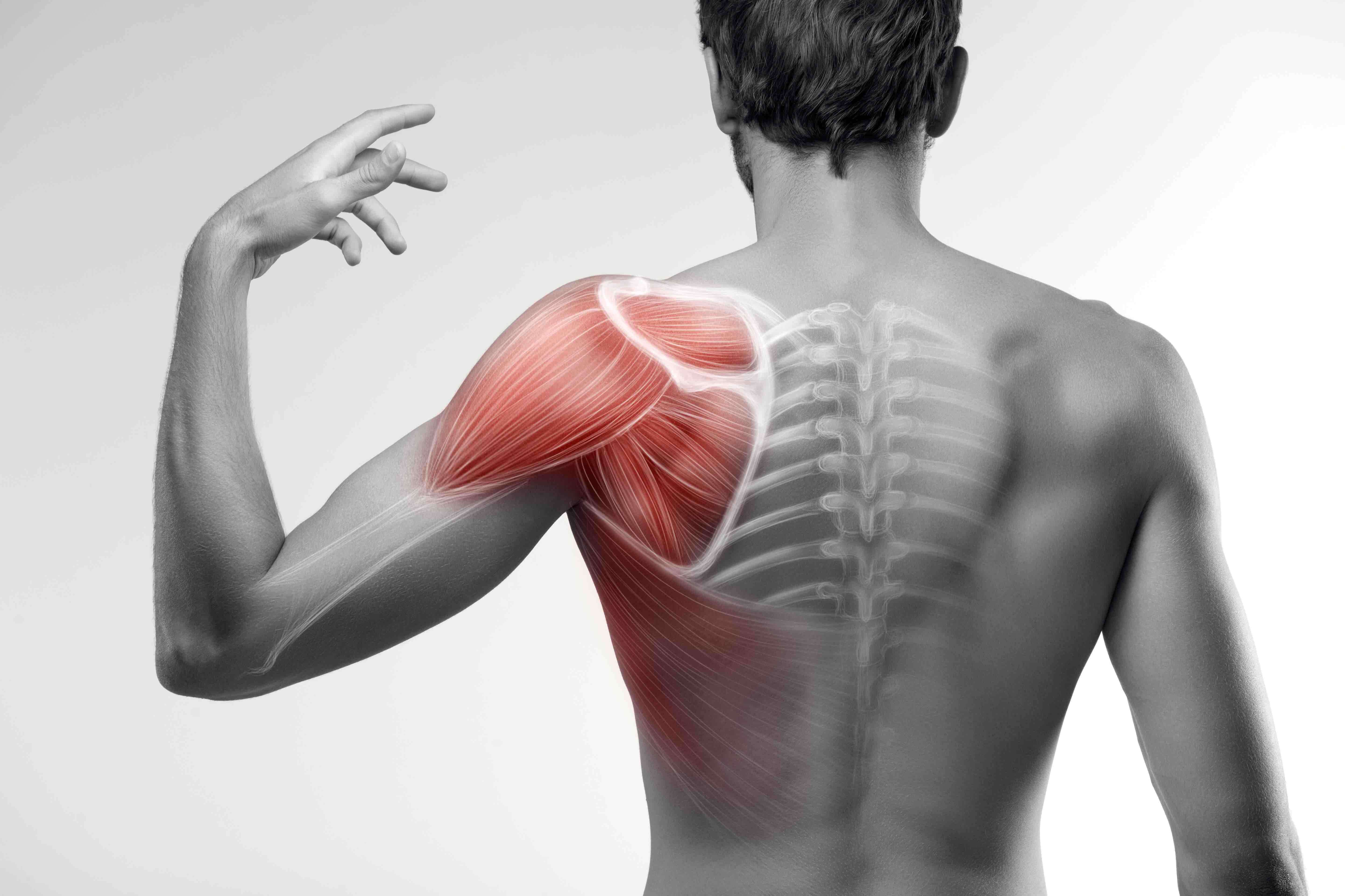 Мощное исцеление костей и мышц. Спина. Мышцы спины лопатки. Мускулы спины.