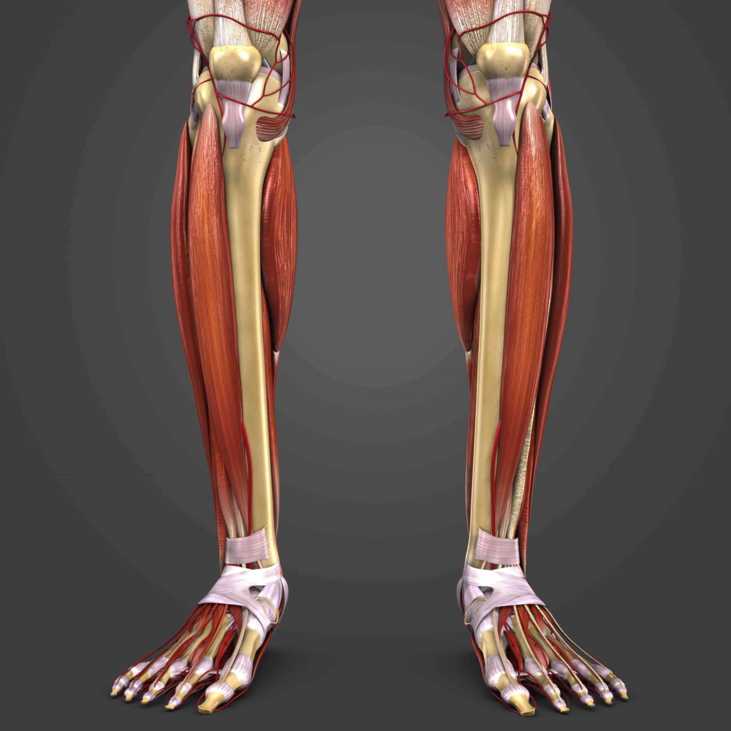 Knee - Iliotibial Band Syndrome - AOA Orthopedic Specialists