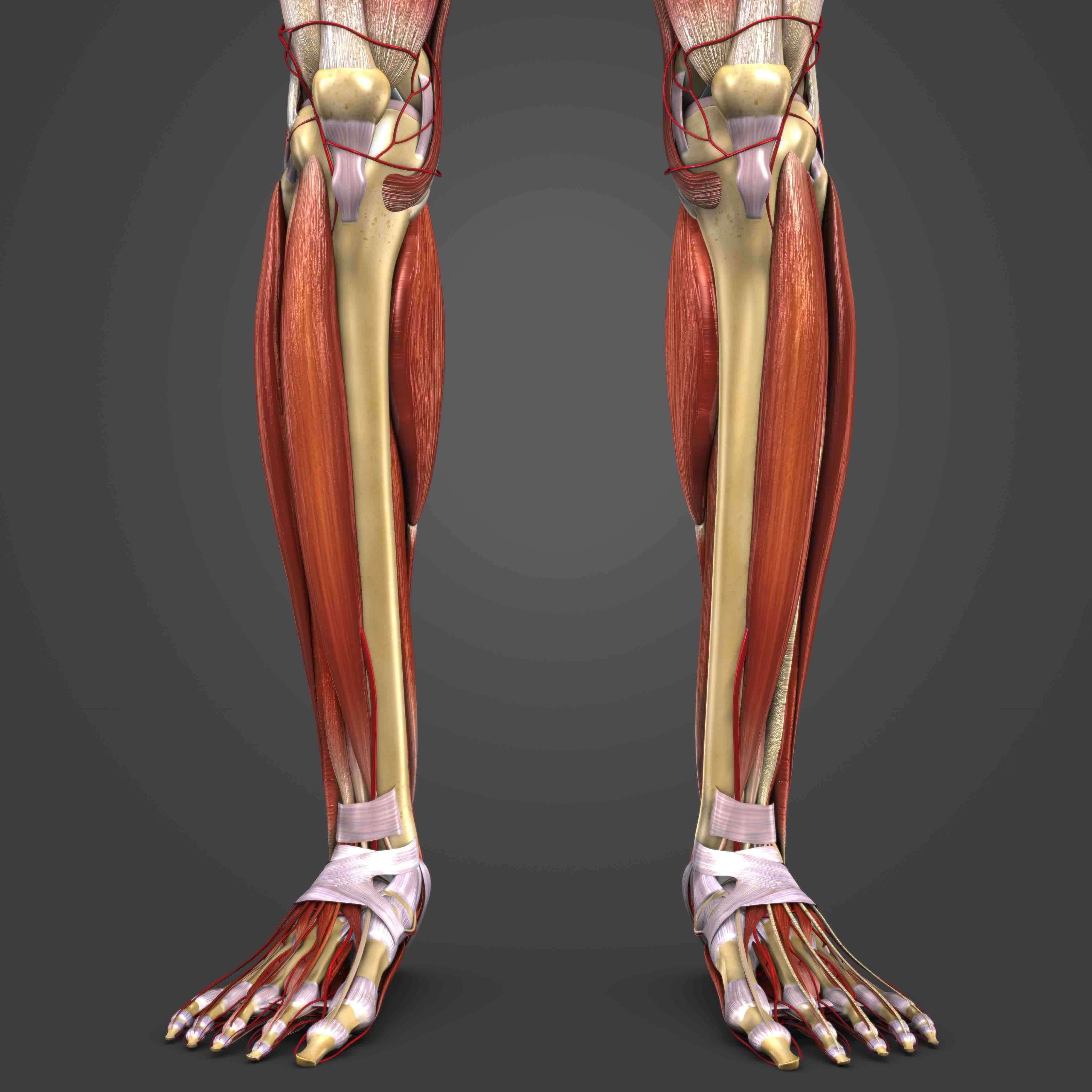Shin Splints - AOA Orthopedic Specialists