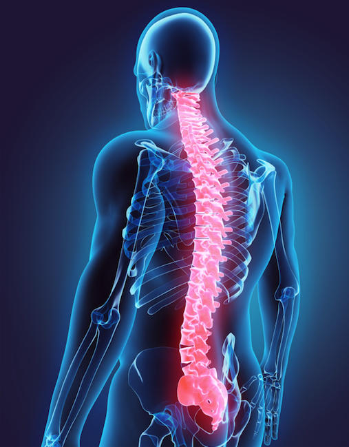 Treatment Coccyx pain  Spine and Orthopedic Specialists: NEO Surgical Group