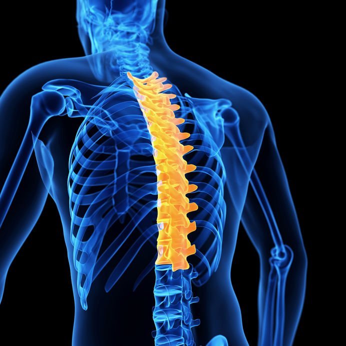 Spinal Fractures - AOA Orthopedic Specialists