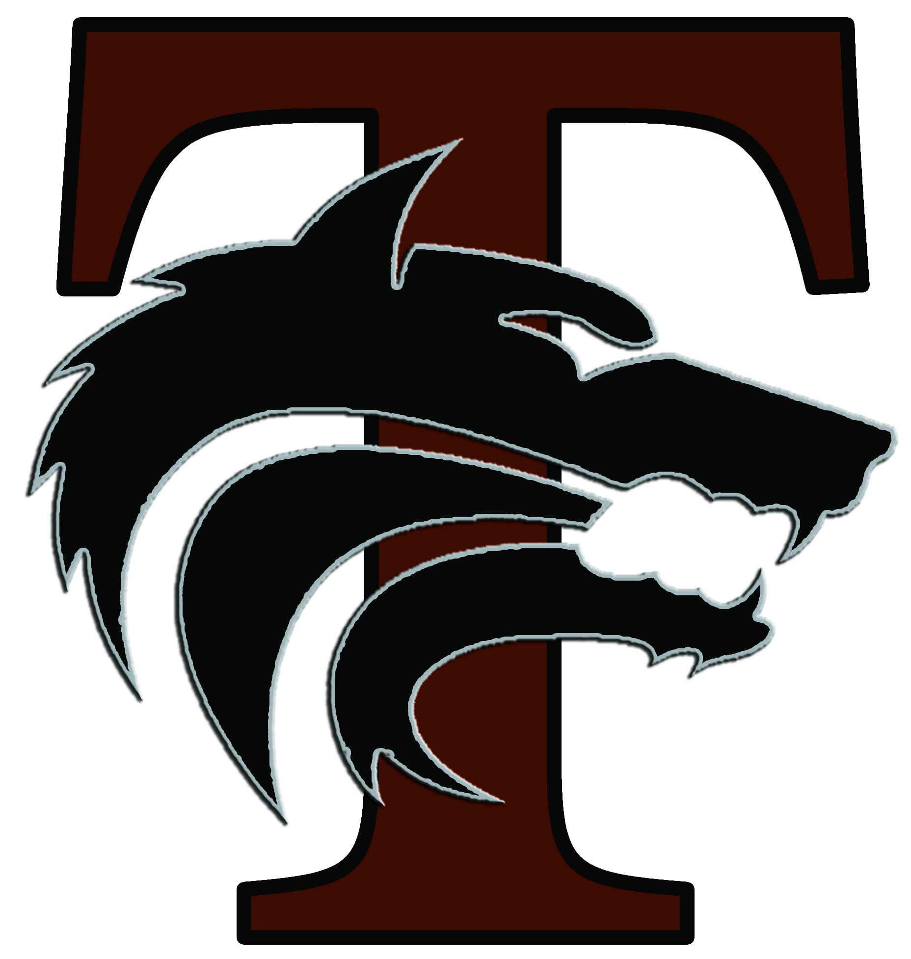 mansfield timberview high school logo